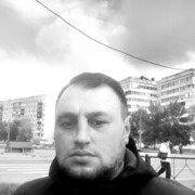  ,   Krasavcik, 43 ,   ,   , c 