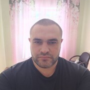  -,   , 41 ,  