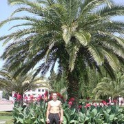 ���������� ������ ���, ���� ������� Artur, 45 ���, ������������ ��� ������, ����� � ���������, c�������� ���������