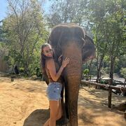 ���������� ������, ���������