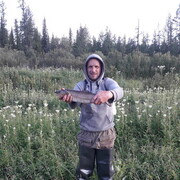 ���������� �����, ���� ������� �����, 50 ���, ������������ ��� ������, ����� � ���������, c�������� ���������