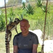 ���������� ������, ���� ������� �����, 40 ���, ������������ ��� c�������� ���������