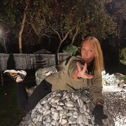  -,   , 49 ,   ,   , c 