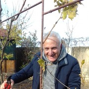 ���������� ������, ���� ������� �����, 66 ���, ������������ ��� ������, ����� � ���������, c�������� ���������