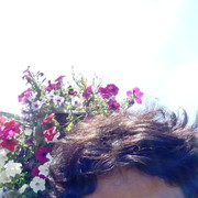 ���������� ������, ���� ������� ���, 45 ���, ������������ ��� ����� � ���������, c�������� ���������