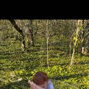 ���������� ������, ���� ����� �������, 22 ����, ������������ 