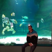 ,   , 44 ,   