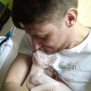  --,   , 38 ,   ,   , c , 
