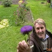  ,   , 73 ,  