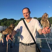 ���������� �������, ���� ������� ����, 43 ����, ������������ ��� ������, ����� � ���������, c�������� ���������