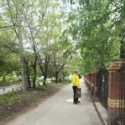 ���������� �����������, ���� ����� �������, 25 ���, ������������ ��� ������, ����� � ���������, ���������