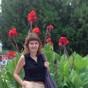 ���������� �����������, ���� ������� ����, 55 ���, ������������ ��� ����� � ���������, c�������� ���������