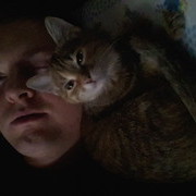 ���������� ����, ���� ������� �����, 44 ����, ������������ ��� ������, ����� � ���������, c�������� ���������