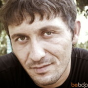  ,   Mishka, 41 ,   ,   , c 