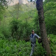 ���������� ���������, ���� ������� ���������, 41 ���, ������������ ��� ������, ����� � ���������, c�������� ���������, ���������