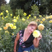  ,   , 50 ,  