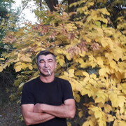  ,   , 53 ,   ,   