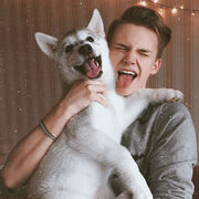 ���������� ������, ���� ������� ������, 26 ���, ������������ ��� ������, ����� � ���������, c�������� ���������, ���������