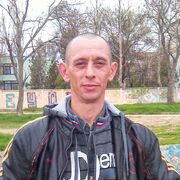 ,   , 44 ,   