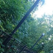 ���������� �������, ������ �����, 25