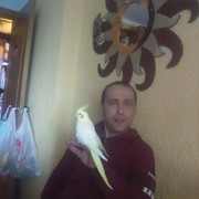  ,   , 44 ,   ,   , c 