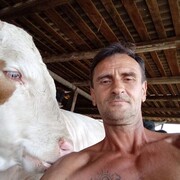 ���������� ������-��-����, ���� ������� �����, 54 ����, ������������ ��� c�������� ���������, ���������