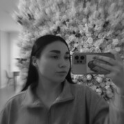 ���������� ����������, ������������