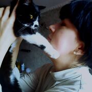 ,   VIKYSIK, 27 ,   