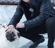 ���������� ����, ���� ������� Elsen, 35 ���, ������������ ��� ������, ����� � ���������, c�������� ���������