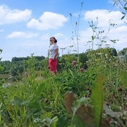 ���������� ������, ���� ������� ���, 33 ����, ������������ ��� ������, ����� � ���������