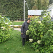 ���������� ��������, ���� ������� ����, 73 ����, ������������ ��� ������, ����� � ���������