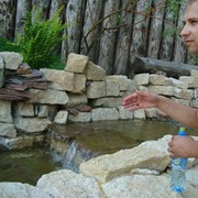 ���������� �����-���������, ���� ������� ������, 43 ����, ������������ ��� ������, ����� � ���������, c�������� ���������