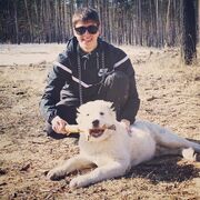 ���������� ���������, ���� ������� ������, 34 ����, ������������ ��� ������, ����� � ���������