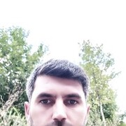 ���������� ����, ���� ������� Elvin, 38 ���, ������������ ��� ������, ����� � ���������