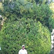  ,   , 42 ,   c 
