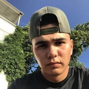 ���������� ���������, ���� ����� ������, 24 ����, ������������ ��� ������, ����� � ���������