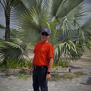  -,   , 50 ,   ,   