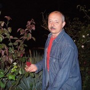 ���������� �������, ���� ������� Volk, 60 ���, ������������ ��� ����� � ���������, c�������� ���������