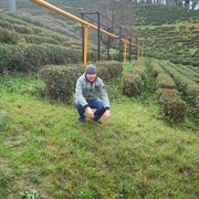 ���������� ��������, ���� ������� ������, 43 ����, ������������ ��� ������, ����� � ���������