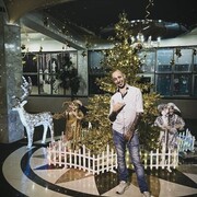 ���������� ���������, ���� ������� ������, 38 ���, ������������ ��� ����� � ���������, c�������� ���������