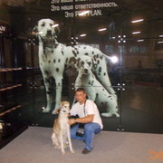 ���������� ������, ���� ������� �����, 47 ���, ������������ ��� ����� � ���������, c�������� ���������