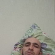  ,   Shamil, 41 ,   ,   , c 