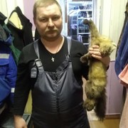 ���������� �����, ���� ������� �������, 49 ���, ������������ ��� ����� � ���������, c�������� ���������