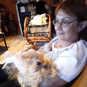 ���������� ������, ���� ������� �����, 62 ����, ������������ ��� ����� � ���������, c�������� ���������