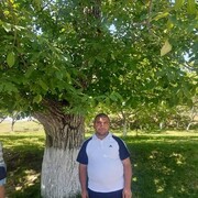  ,   RUSTAM, 39 ,   ,   