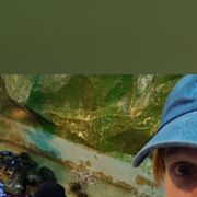  ,   , 21 ,   ,   , c 