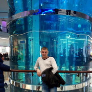 ���������� ������, ���� ������� ����, 43 ����, ������������ 