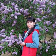  ,   , 29 ,     , c 