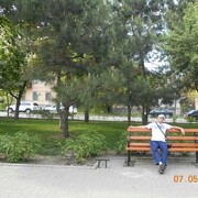 ���������� ������-��-����, ���� ������� �������, 38 ���, ������������ ��� ������, c�������� ���������