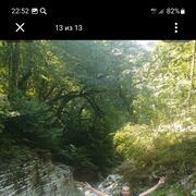 ���������� �����-���������, ���� ������� ��������, 40 ���, ������������ ��� ������, c�������� ���������, ���������